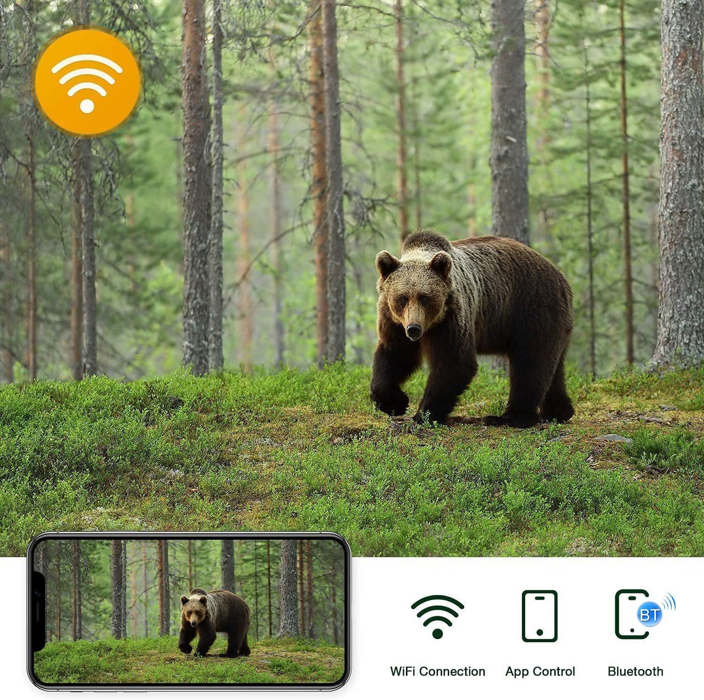Outdoor Hunting Camera with Wifi & Remote Control - View Photos / Video Anytime