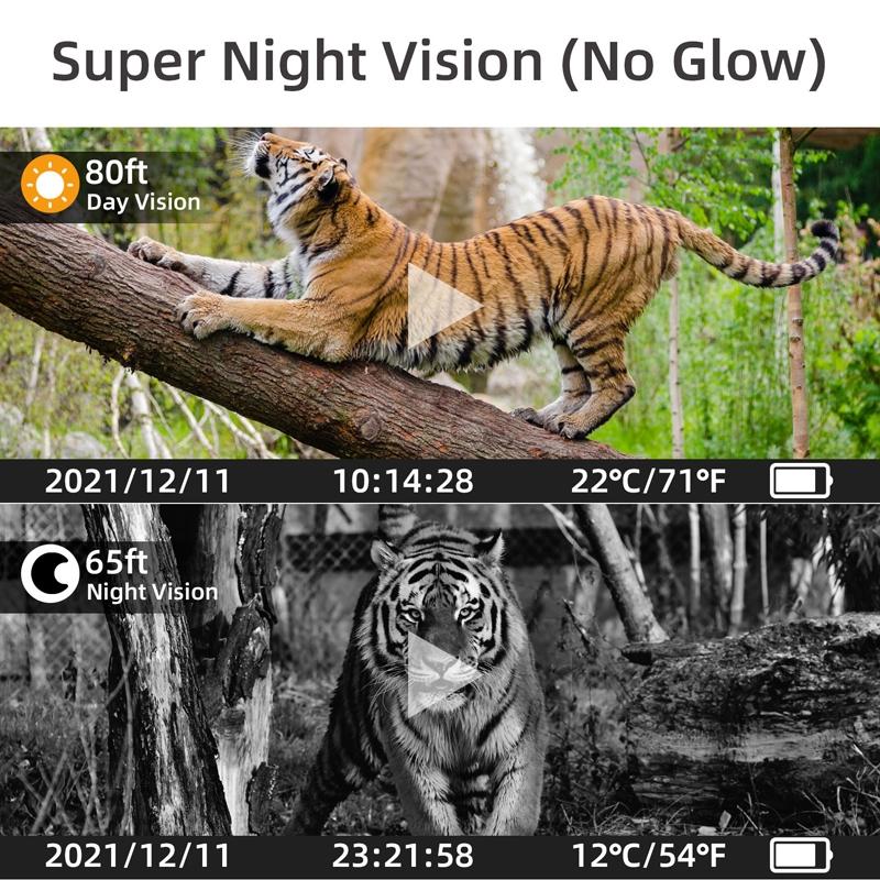 Outdoor Hunting Camera with Wifi & Remote Control - View Photos / Video Anytime